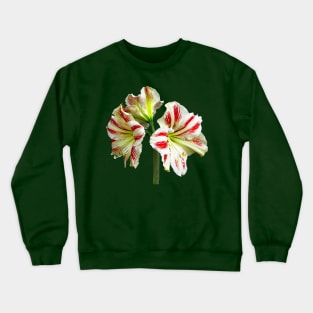 Amaryllis Sydney Crewneck Sweatshirt